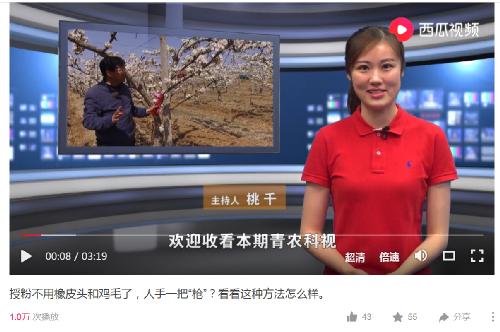 在科技传播中过暑假